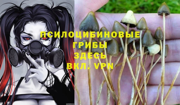 Альфа ПВП Сатка