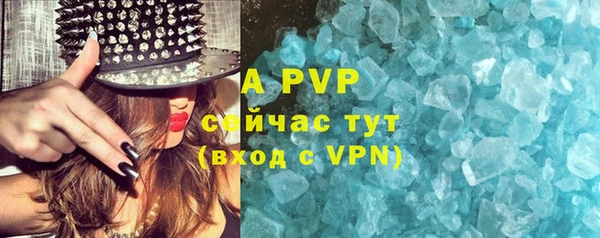 сатива Переславль-Залесский