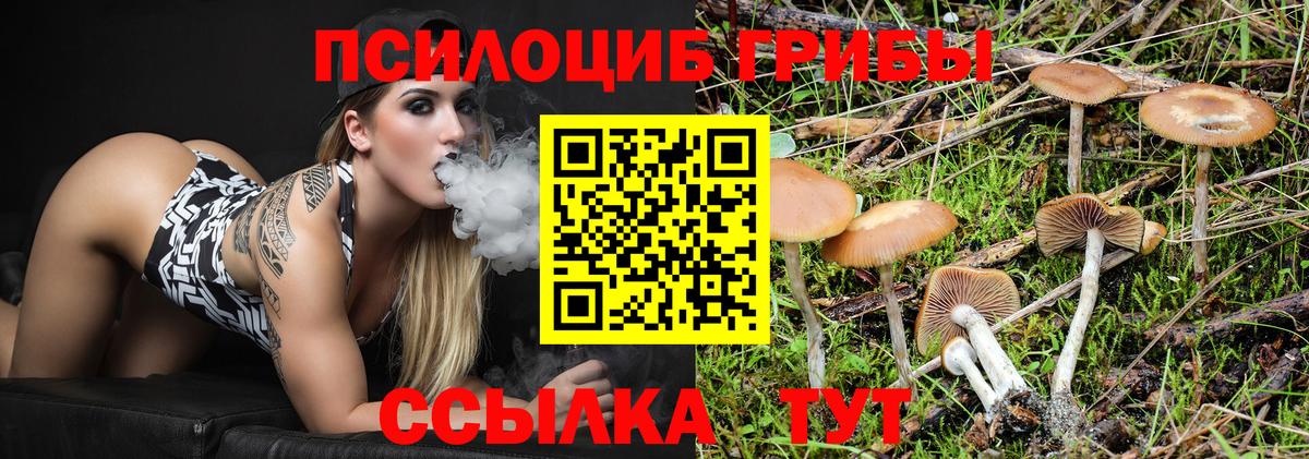 Балахна  Псилоцибиновые грибы мухоморы  Вход с VPN 