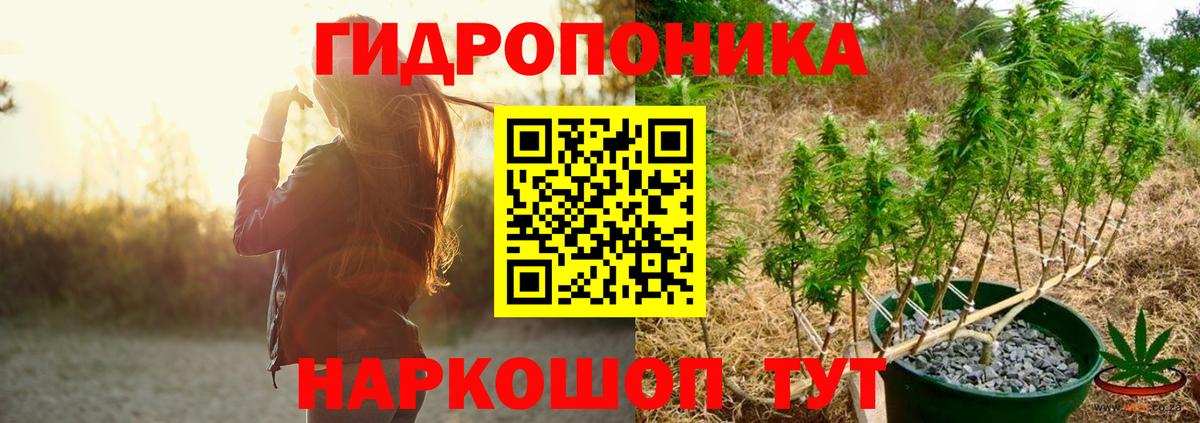 Бошки Шишки AK-47  Канабис гибрид  Балахна  Вход с VPN 
