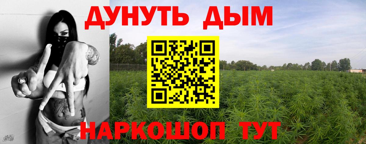 Канабис планчик Балахна